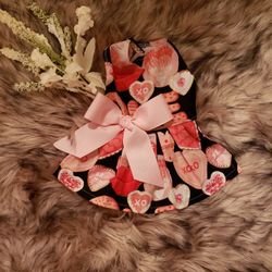 Xsmall puppy dress fits yorkie or small dog! 