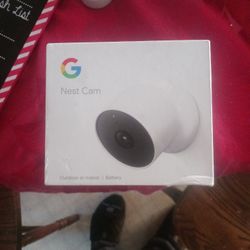 Google Nest Cam