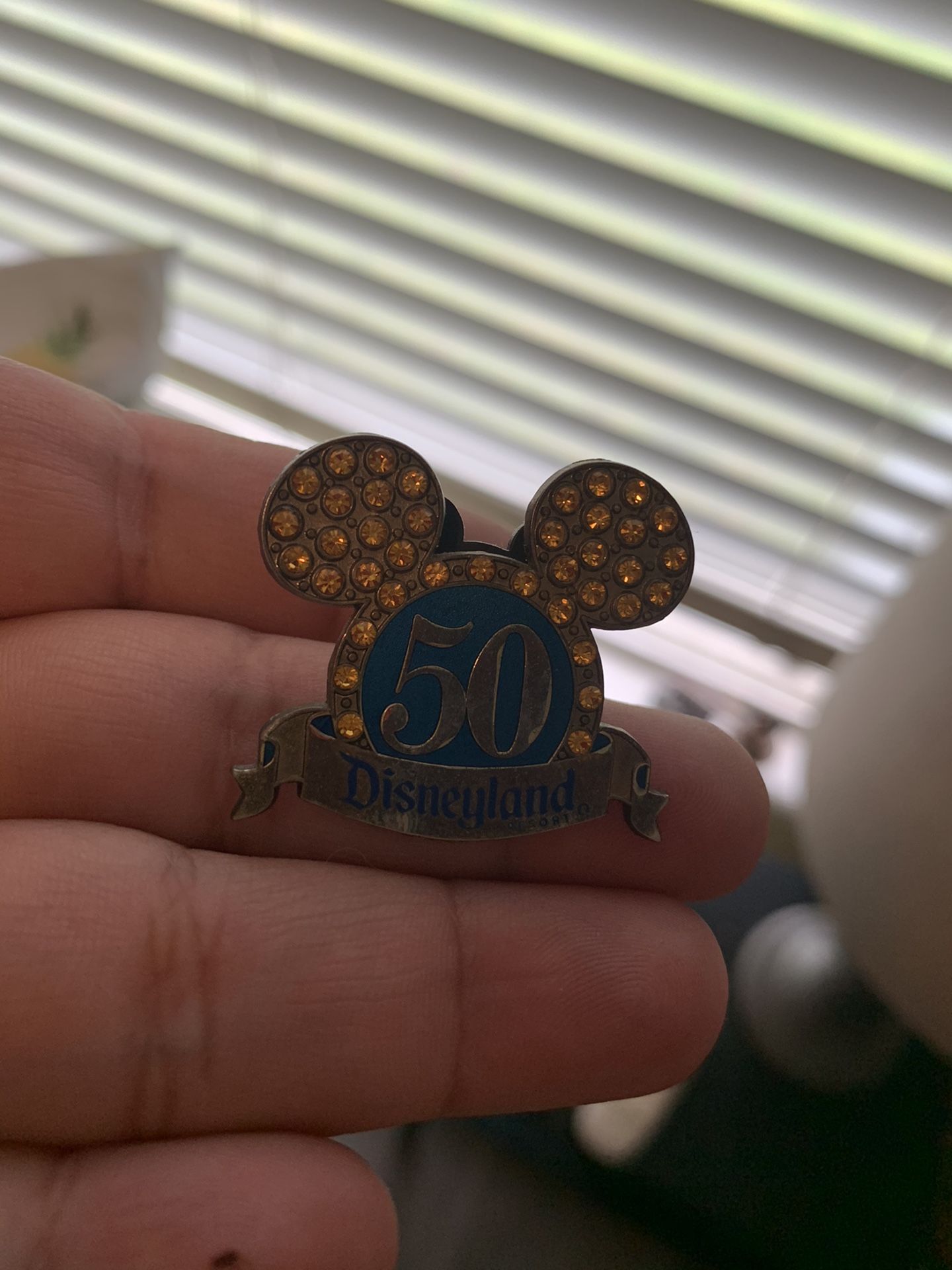 Disney pin