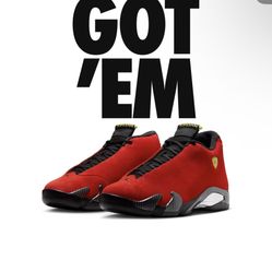 Jordan 14 