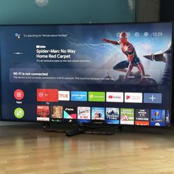 Sony 65” 4K 3D 120Hz