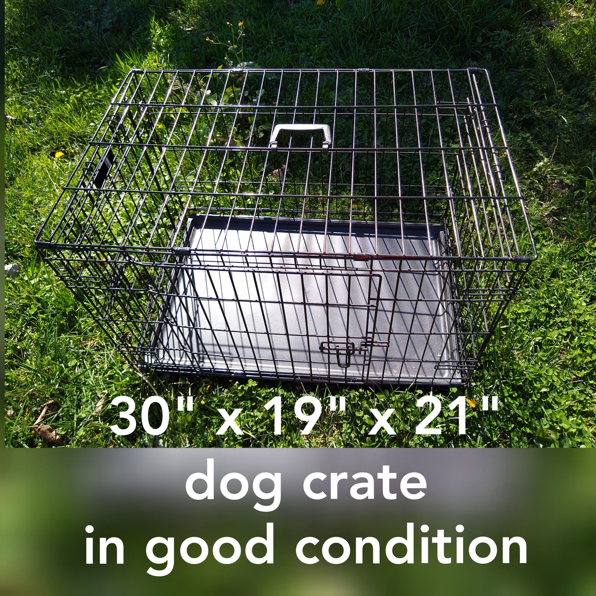 30"x19"x21" dog crate in good condition