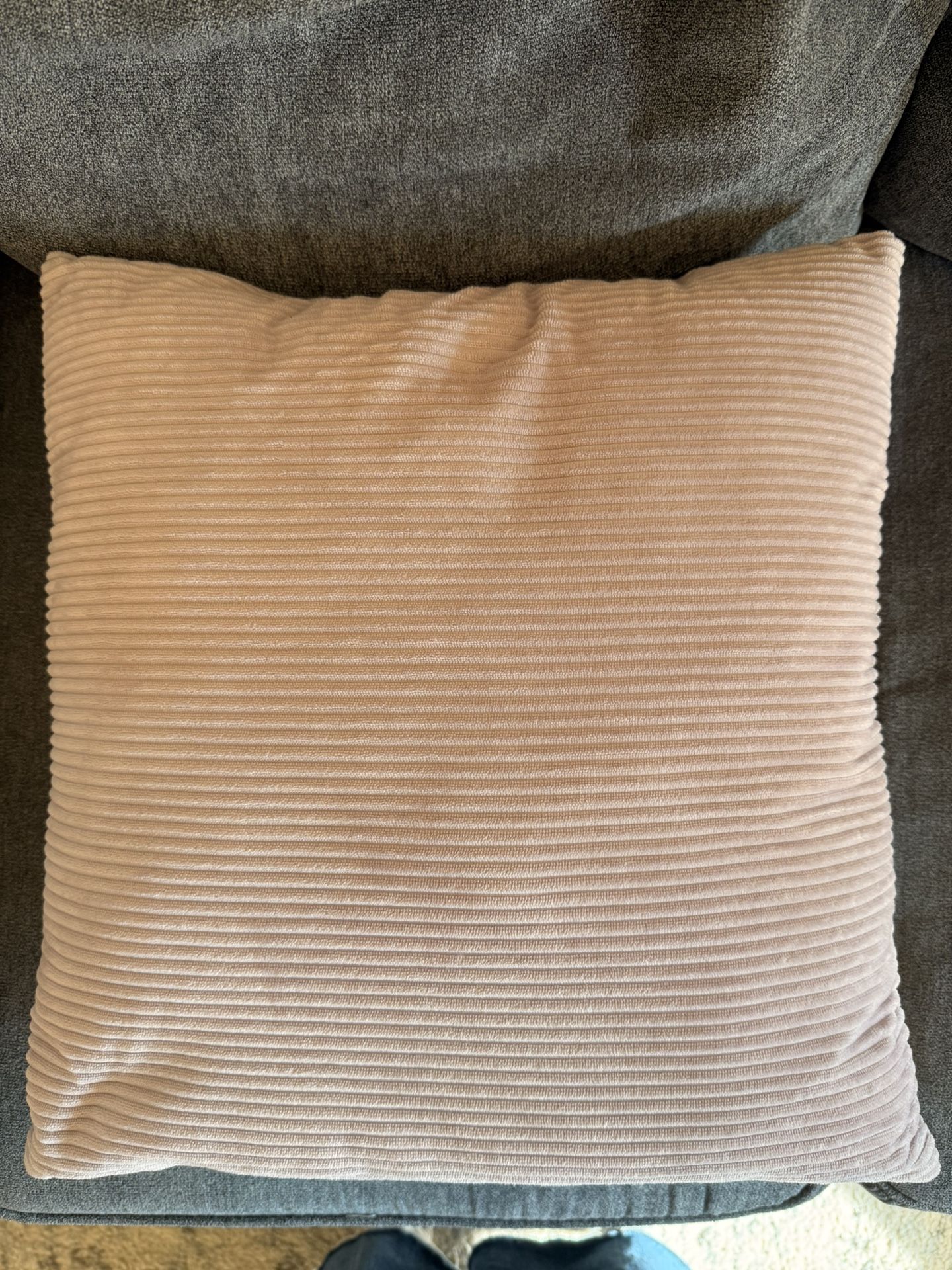 Throw Pillows (Set of 2)