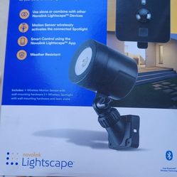 Security Or Landscaping Light