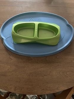Cat Dish And Food Mat