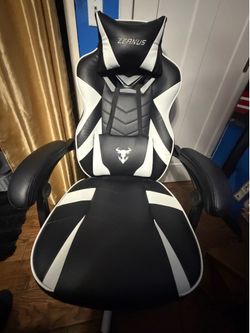 Zeanus Ergonomic Gaming Computer Chair, Recliner Computer Chair with Footrest, Office Gamer Chair with Massage, Big and Tall Racing Chair, Gaming Chai