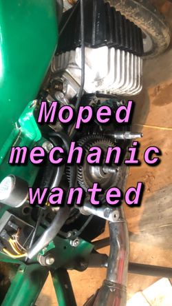 Moped Mechanic Wanted