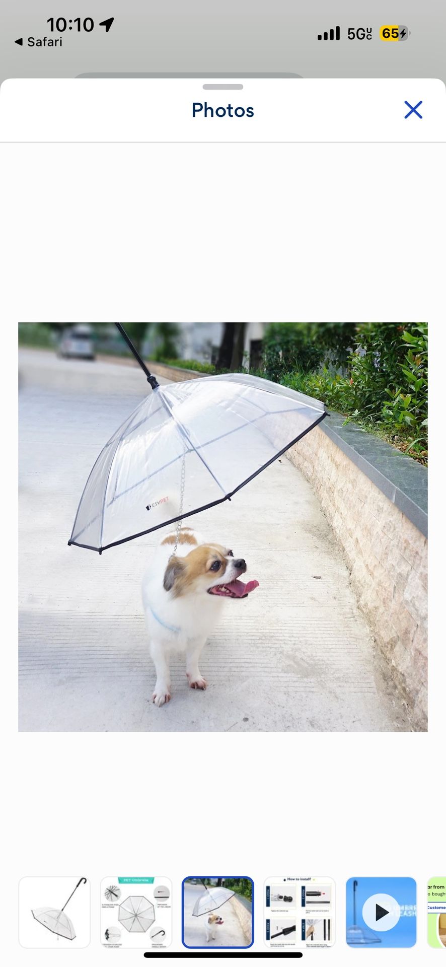 Dog Umbrella With Leash / Pet Umbrella