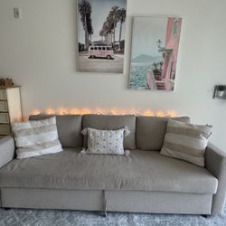 Pull Out Gray Couch