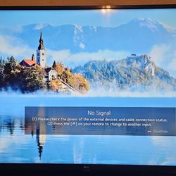 55 Inch LG Smart TV - $250 (Great Condition!)