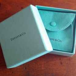 Tiffany & Co. Box And Pouch Only For Earrings 