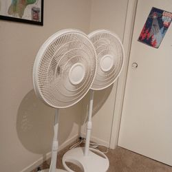 2 Fans 