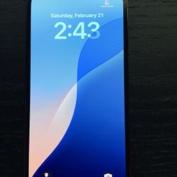 Iphone 13 Pro - $200