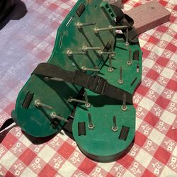 Tree Shoes
