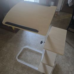 Leisure Sketch/desk With Shelves