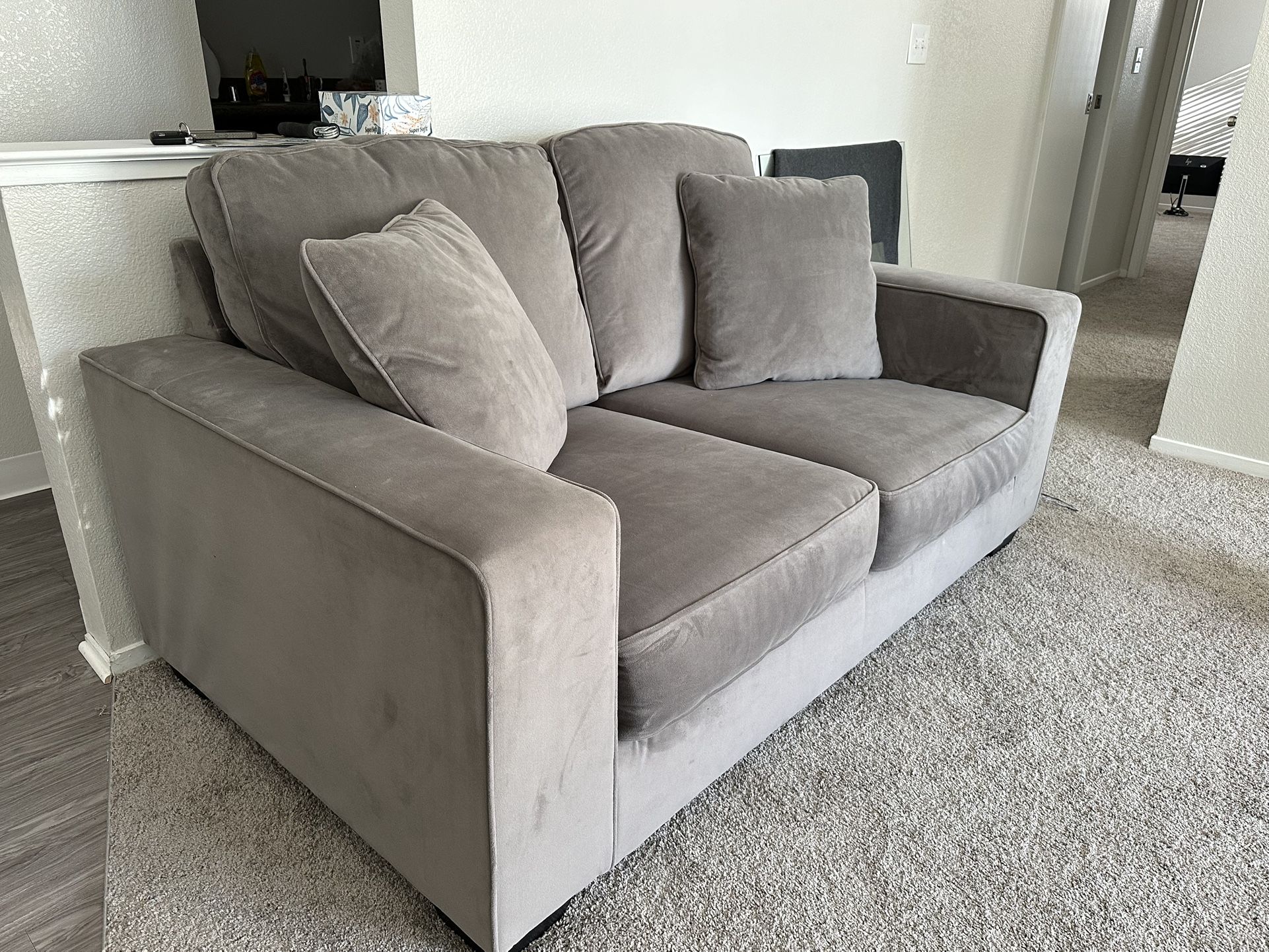 Pet & Children Free Clean Sofa Set