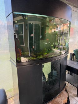 90 Gallon Fish Tank & WITH 3 UV FILTERS AND FISH