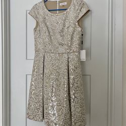 Calvin Klein White Cream Sequin Dress Size 4