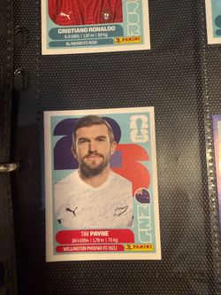 World cup stickers