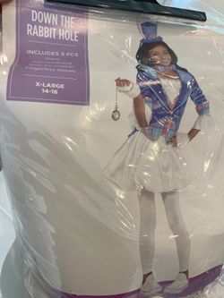 Down the Rabbit Costume