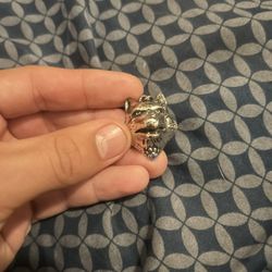 Silver Fox With Blue Jim