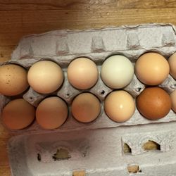 Organic Eggs 