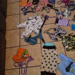 sell all these things to dogs different sizes  All in very good condition. 