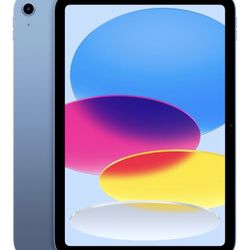 Apple iPad 11-inch: A16 chip(blue), 11-inch Model w/Otterbox Case 