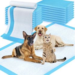 XL Large puppy pads for standard goldendoodle