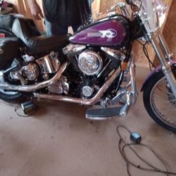 1995 Harley Davidson Soft Tail