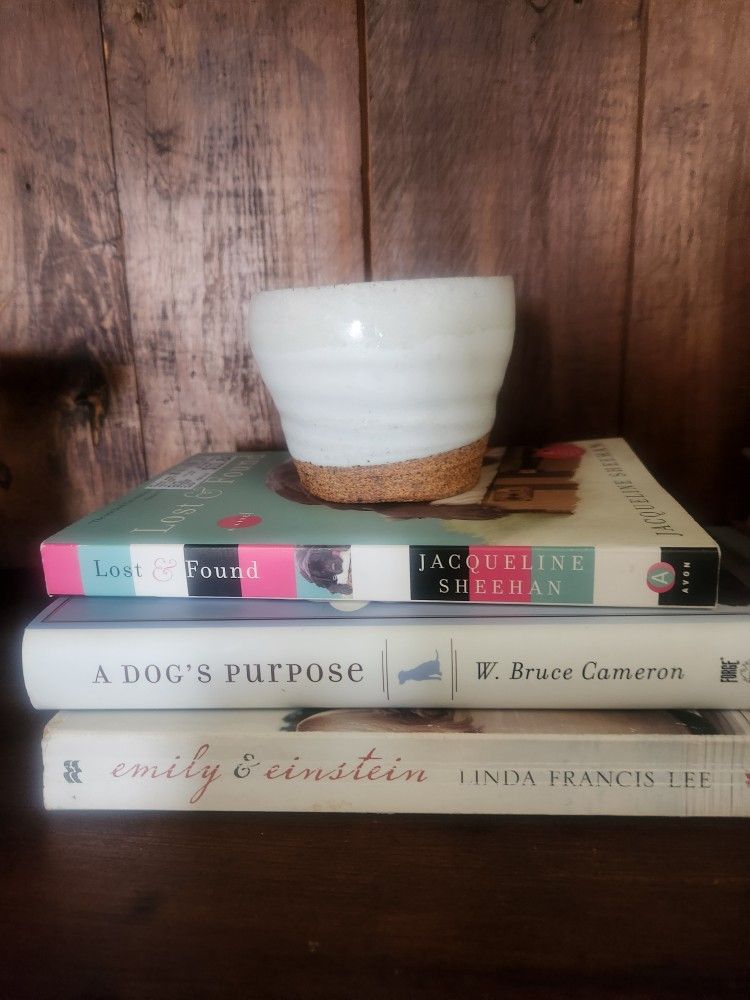 Summer Favorite Books