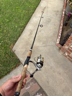 Fishing rod and reel