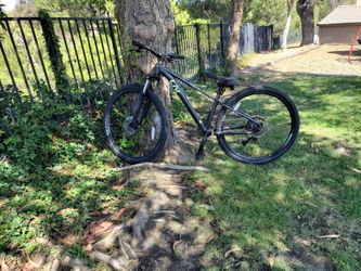 Mountain bike (woman) 29'