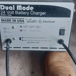 Twenty four volt golf cart battery charger
