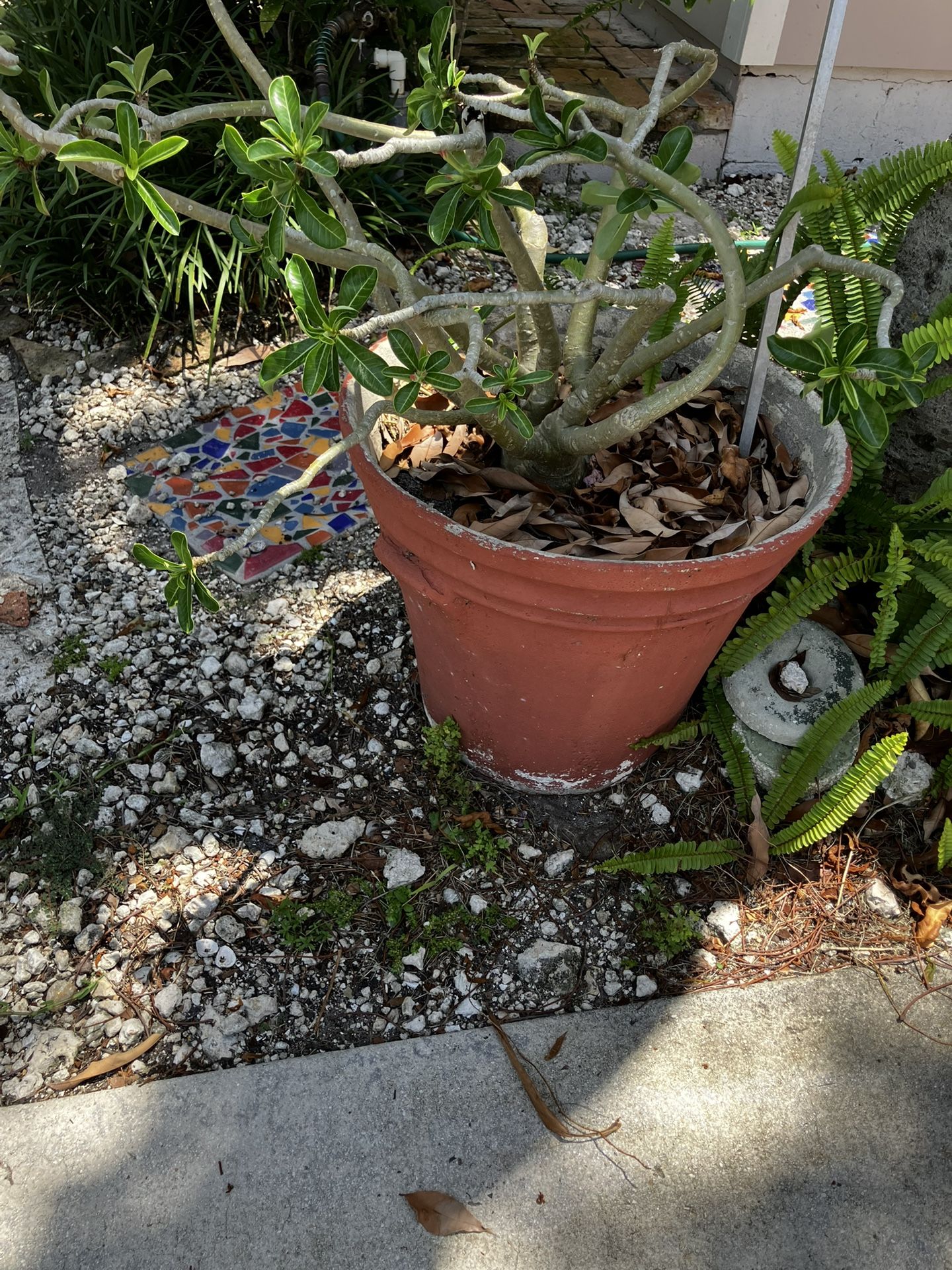 Vintage  Pots