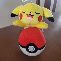Pokémon Plushies