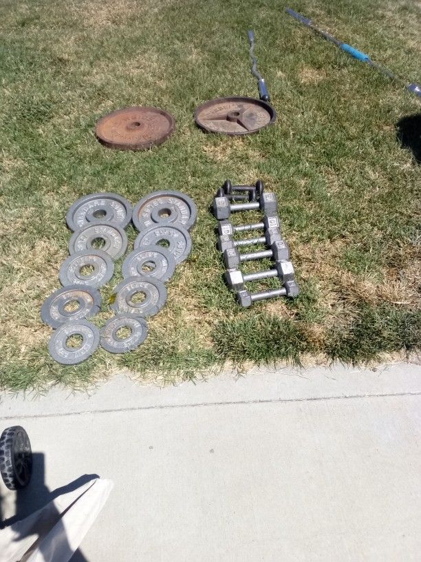 Weight Bench Set