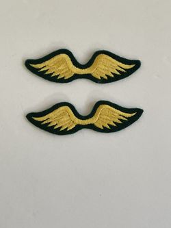2 Girls Scout Wings Patches