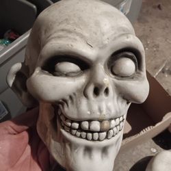 Box Of Assorted Skulls