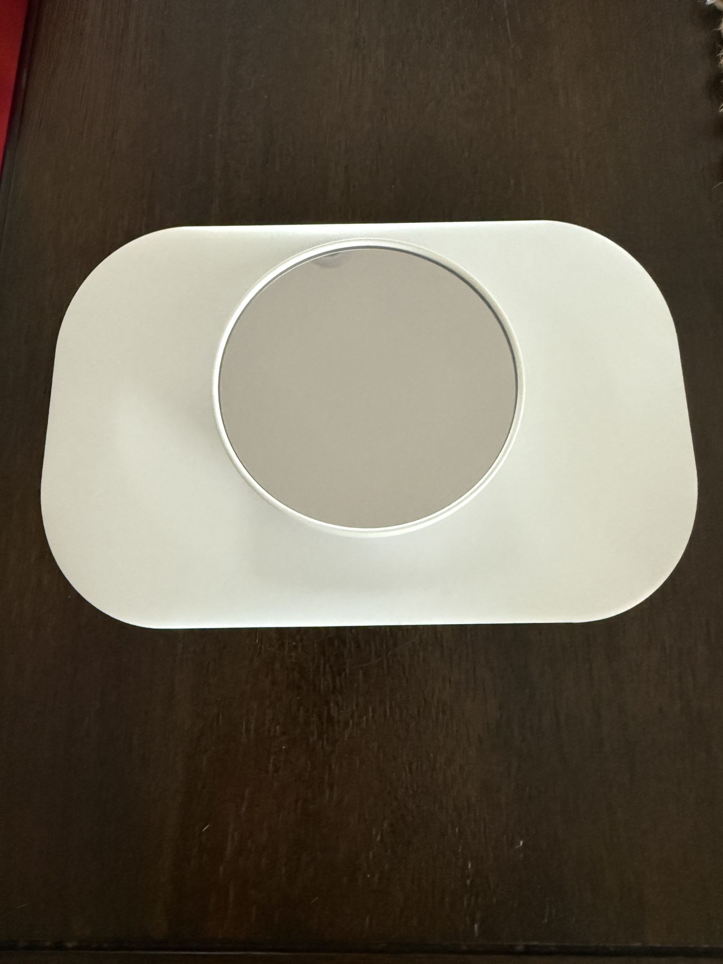 Nest thermometer with back plate