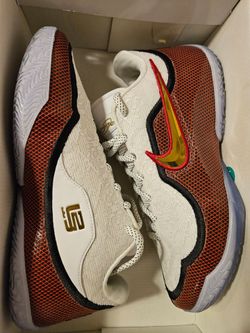 Lebron XXlll