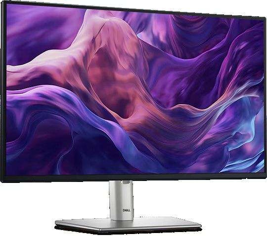 Dell 24" Monitor