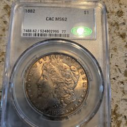 Silver Morgan