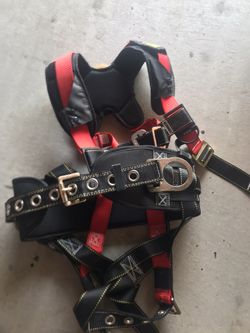 Guardian harness