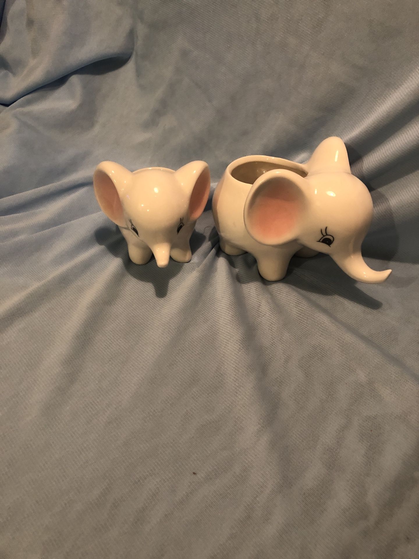 2 Qinghai Elephant Succulent Planters