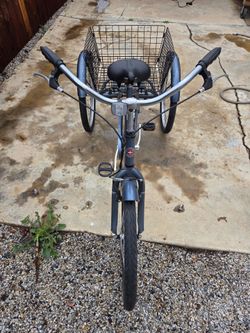 Schwinn adult Tricycle