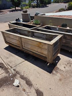 Large planter boxes