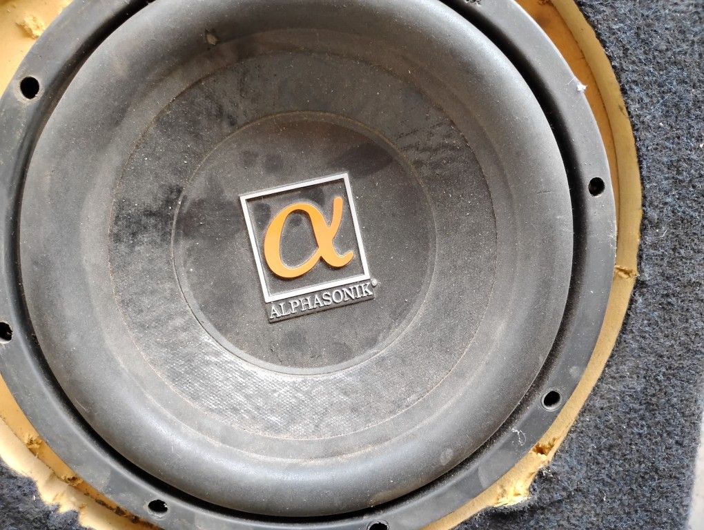 10 Inch Duall Voice Coil Woofer.