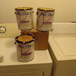 PRESTIGE PAINT