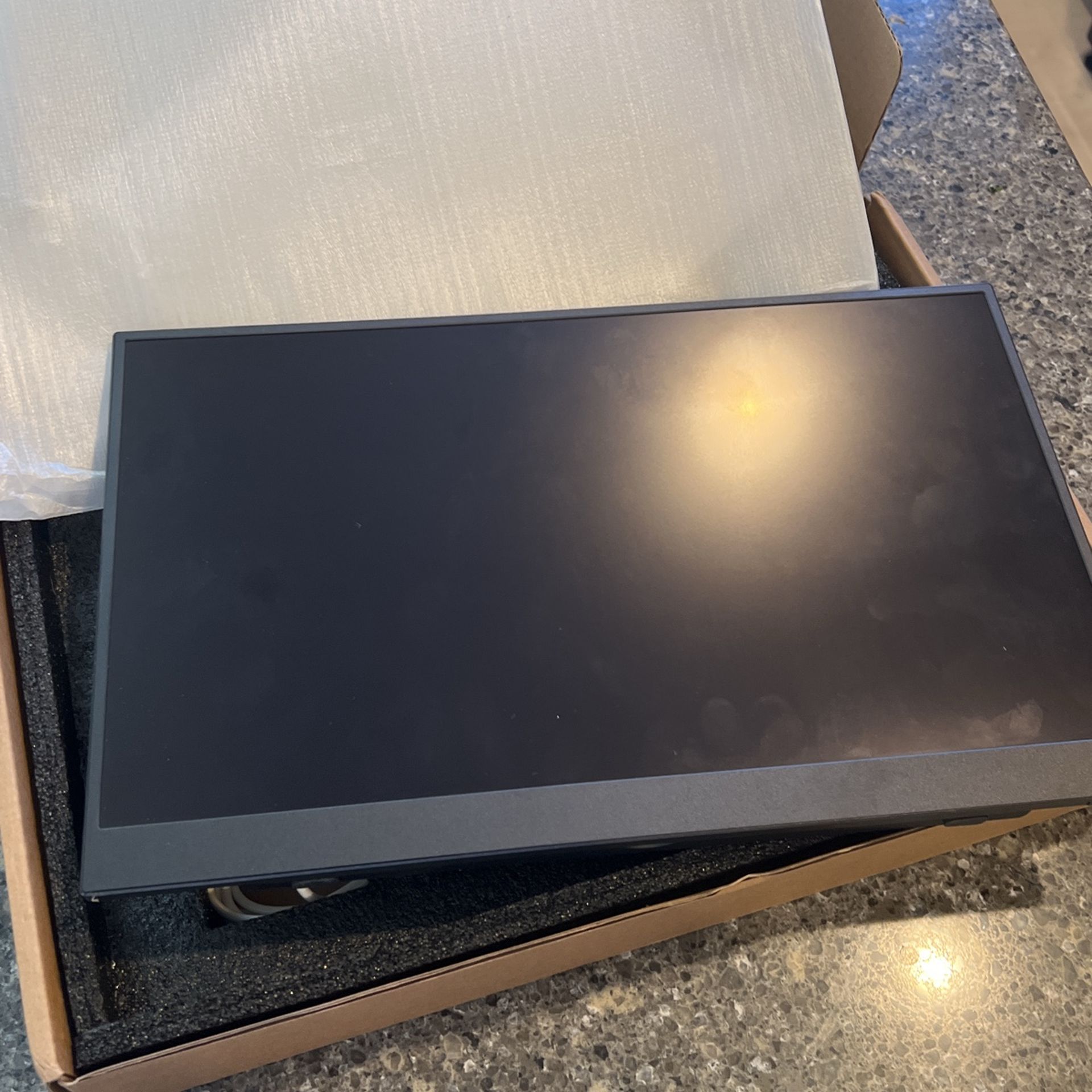 Portable Monitor A156w03T